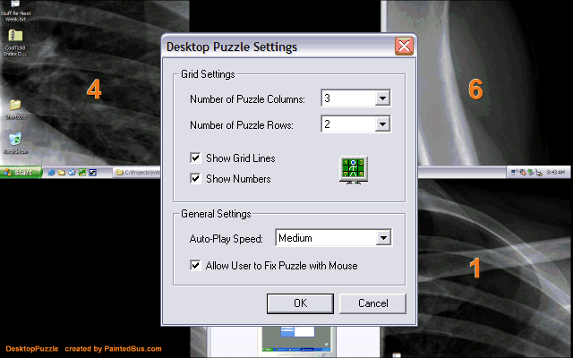 Screenshot of DesktopPuzzle Screen Saver